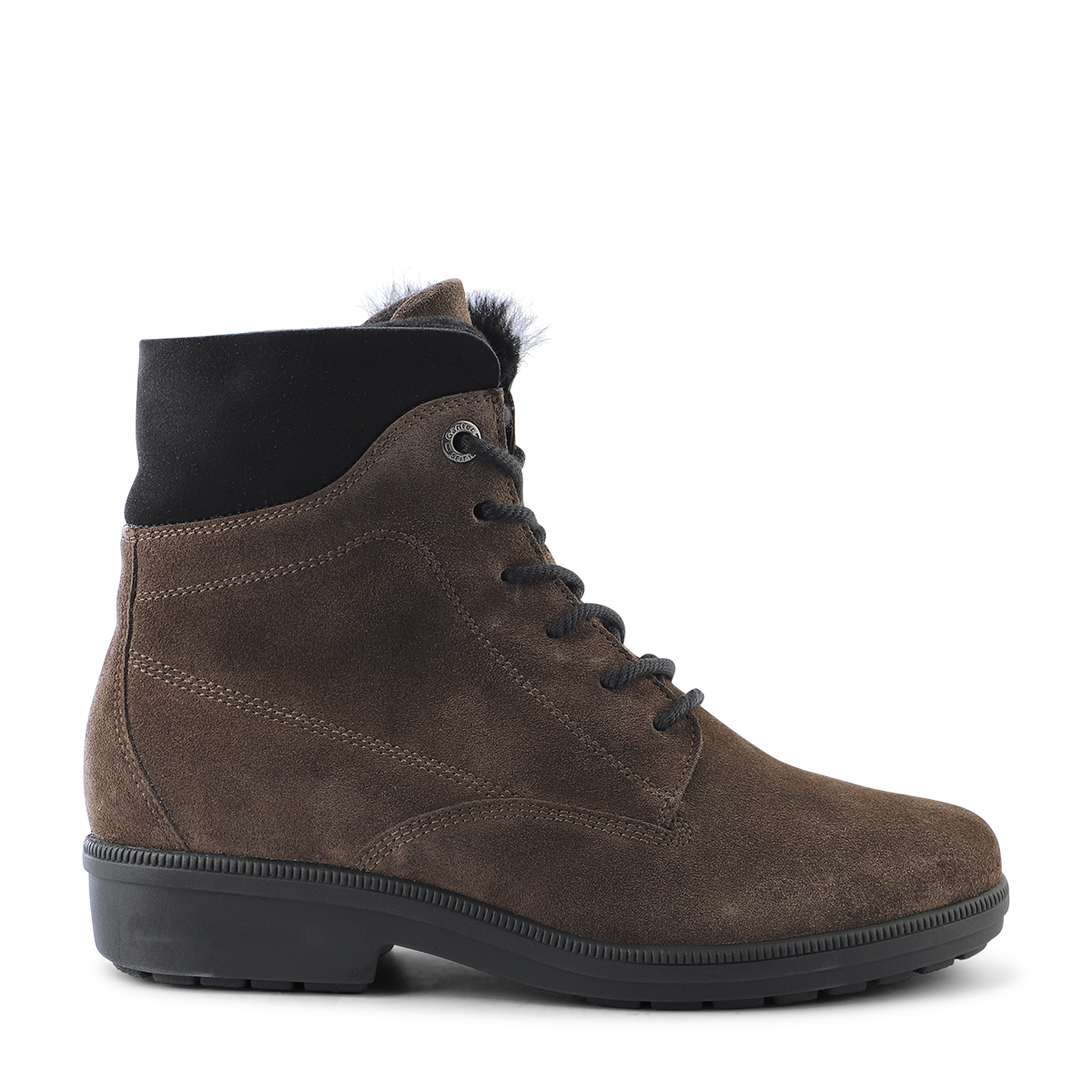 Ganter Brown